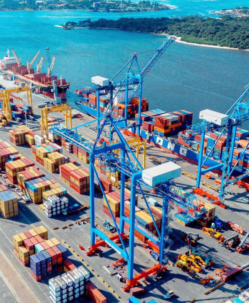 From Godown to Port: Inside Seedstone's Order Tracking Process